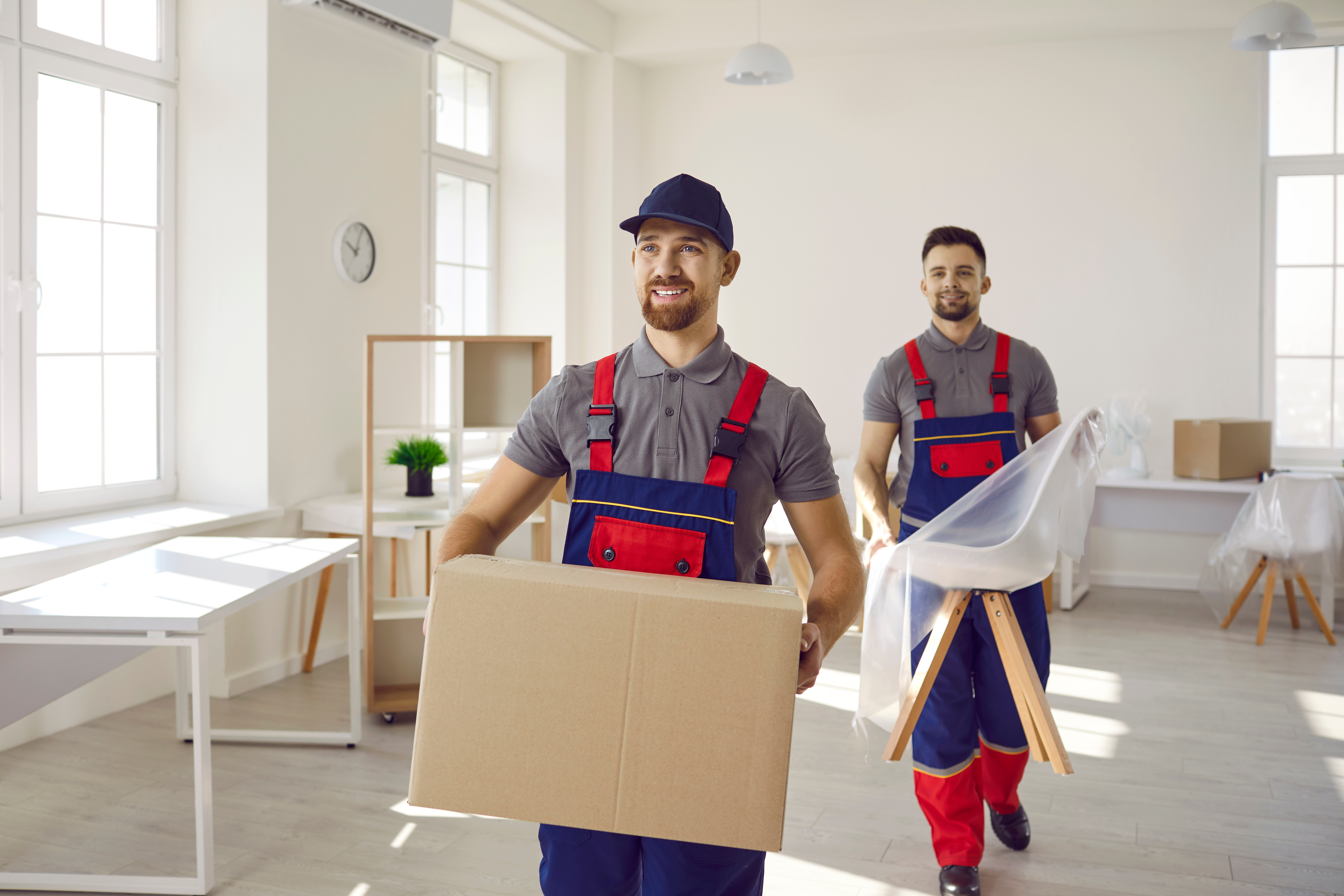 deux déménageurs dans un bureau d'entreprise